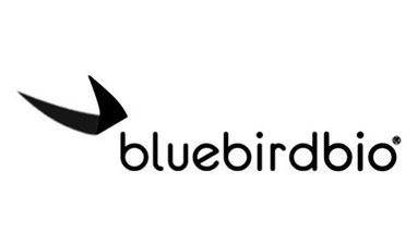 bluebird bio office.jpg