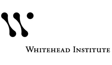 whitehead institute office.jpg